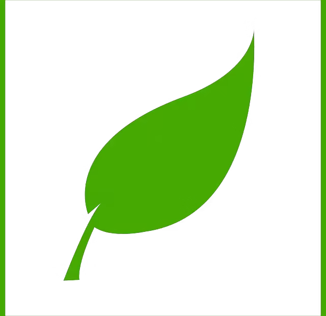Green leaf on a white background for sustainable vs. open-source.