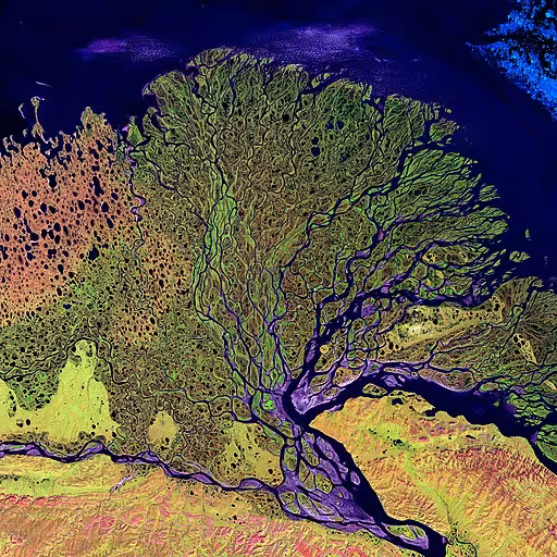 Delta of the Lena River in Russia.