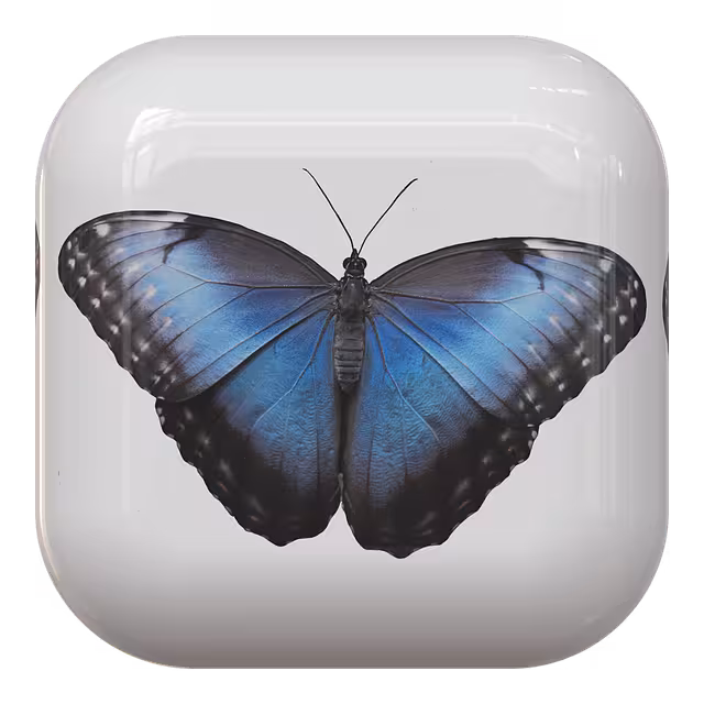 A 3D white button with a blue butterfly.